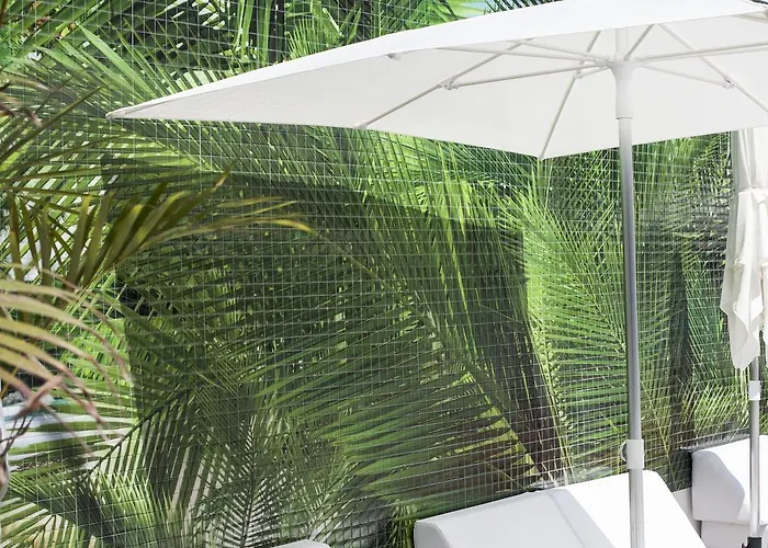 Vanilla Garden Boutique - Adults Only Hotel Playa de las Americas (Tenerife)