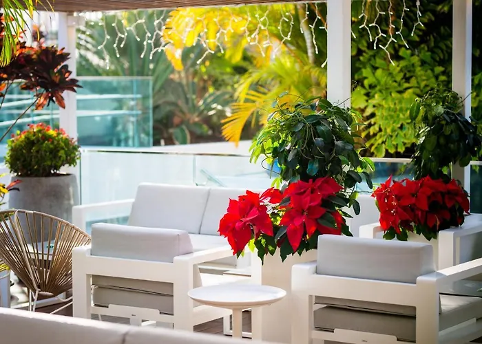 Hotel Vanilla Garden Boutique - Adults Only